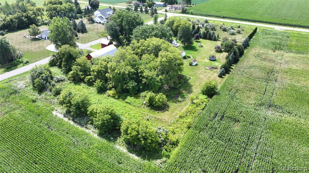 12930 Wilkinson Road Property Photo 33