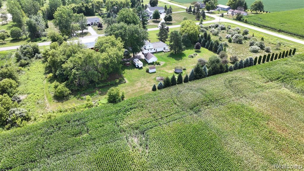 12930 Wilkinson Road Property Photo 34