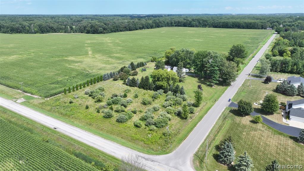 12930 Wilkinson Road Property Photo 39