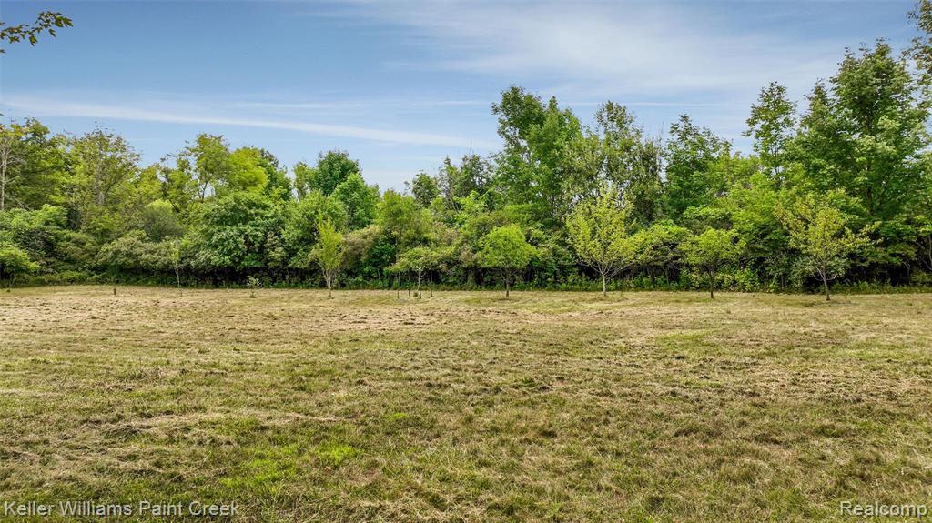 210 Mayfield Property Photo 57
