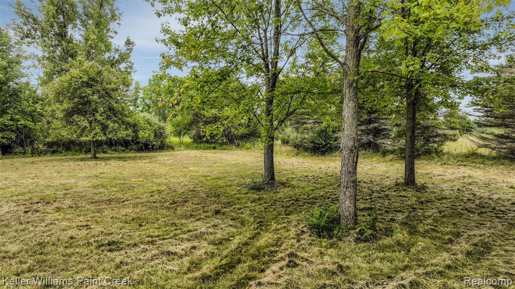 210 Mayfield Property Photo 58