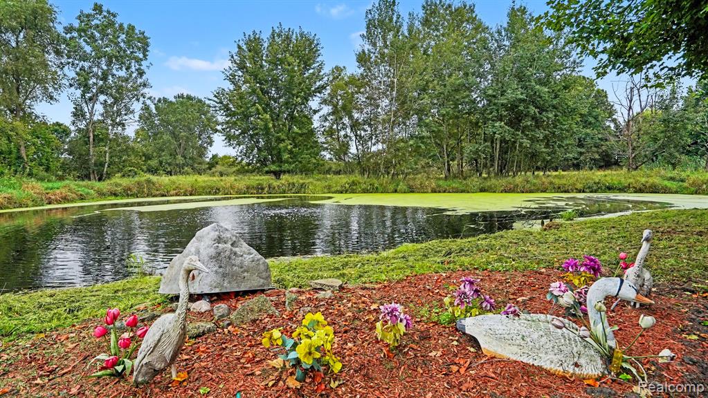 3115 Brogan Road Property Photo 23