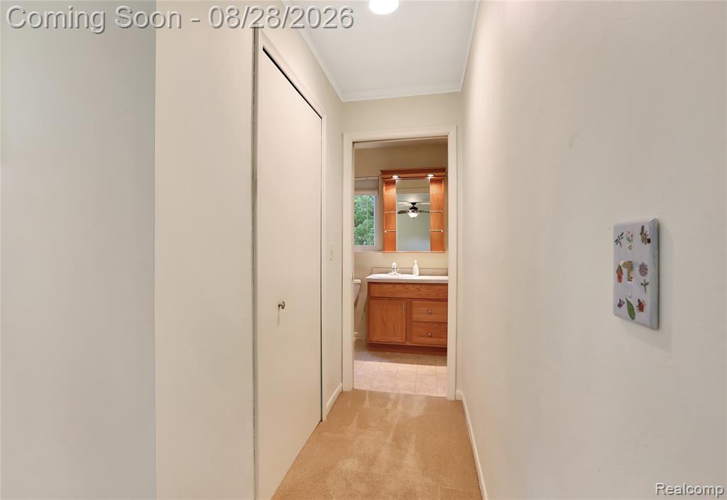 20216 Rippling Lane Property Photo 16