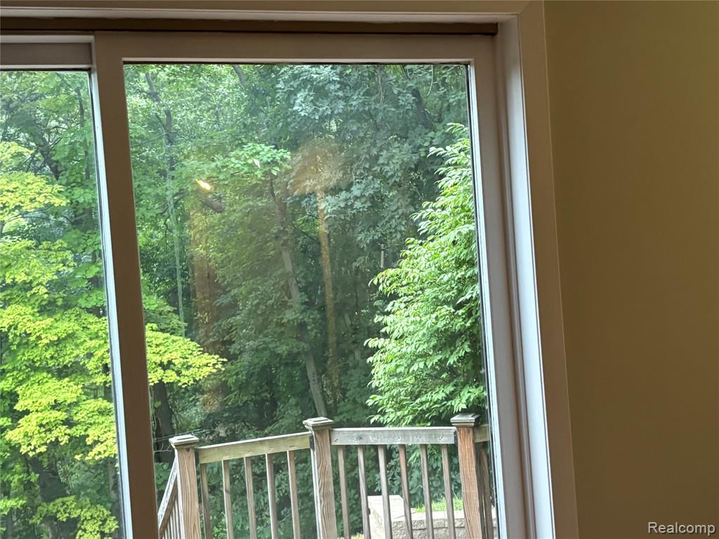 8454 Fawn Valley Drive Property Photo 20