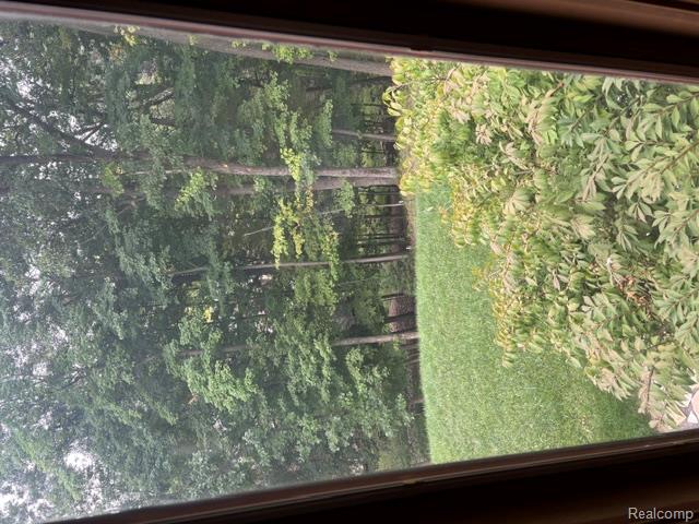 8454 Fawn Valley Drive Property Photo 43
