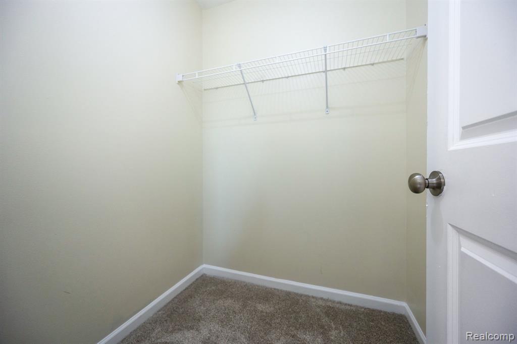 10306 Island Lake Drive Property Photo 39