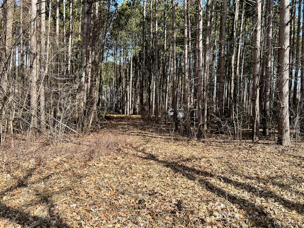 9047 Pineview River Drive Property Photo 1