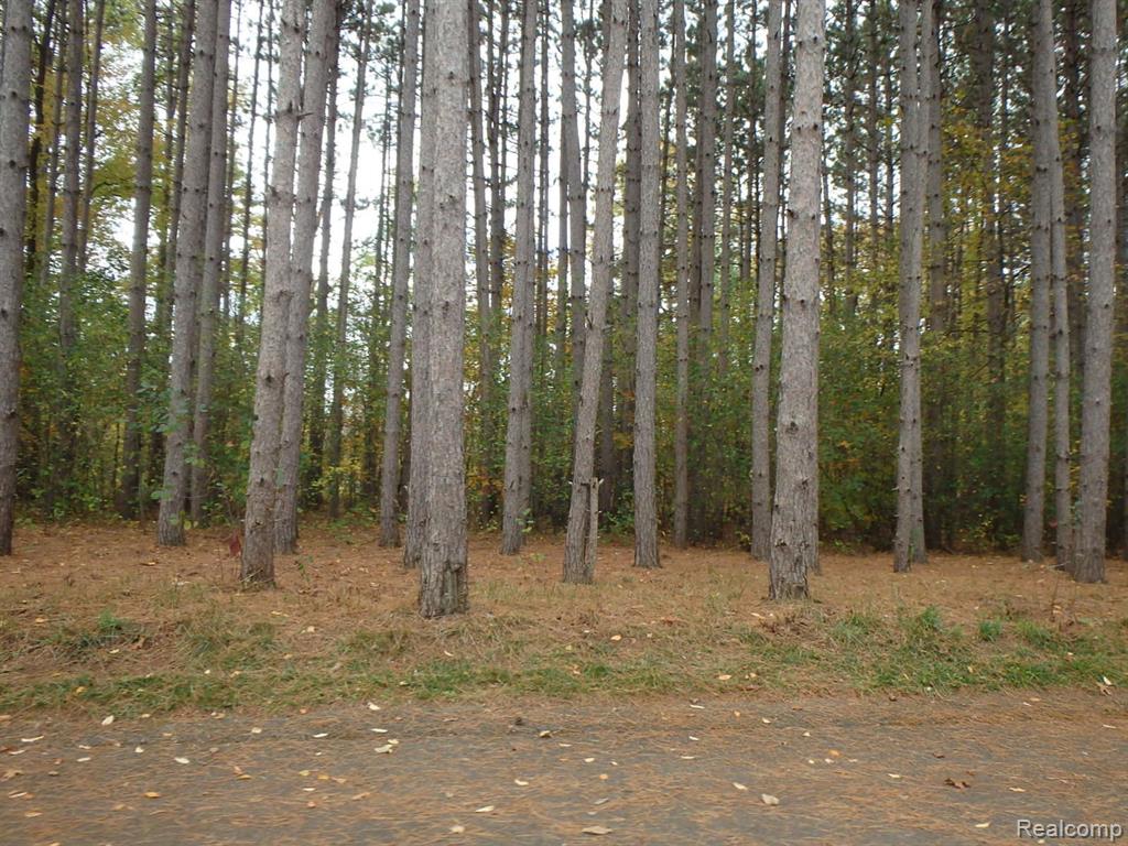 9047 Pineview River Drive Property Photo 2