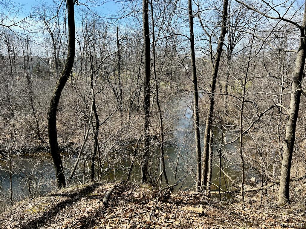 9047 Pineview River Drive Property Photo 3