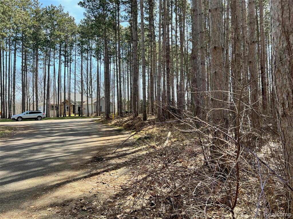 9047 Pineview River Drive Property Photo 4