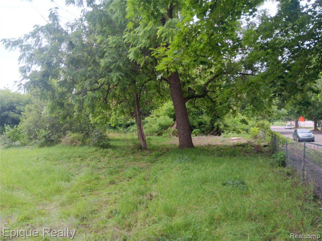 756 Young Street Property Photo 4