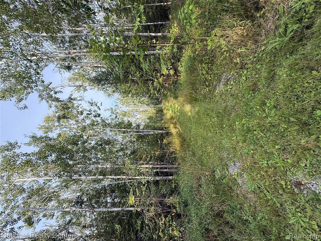 8018 Mielke Road Property Photo 3