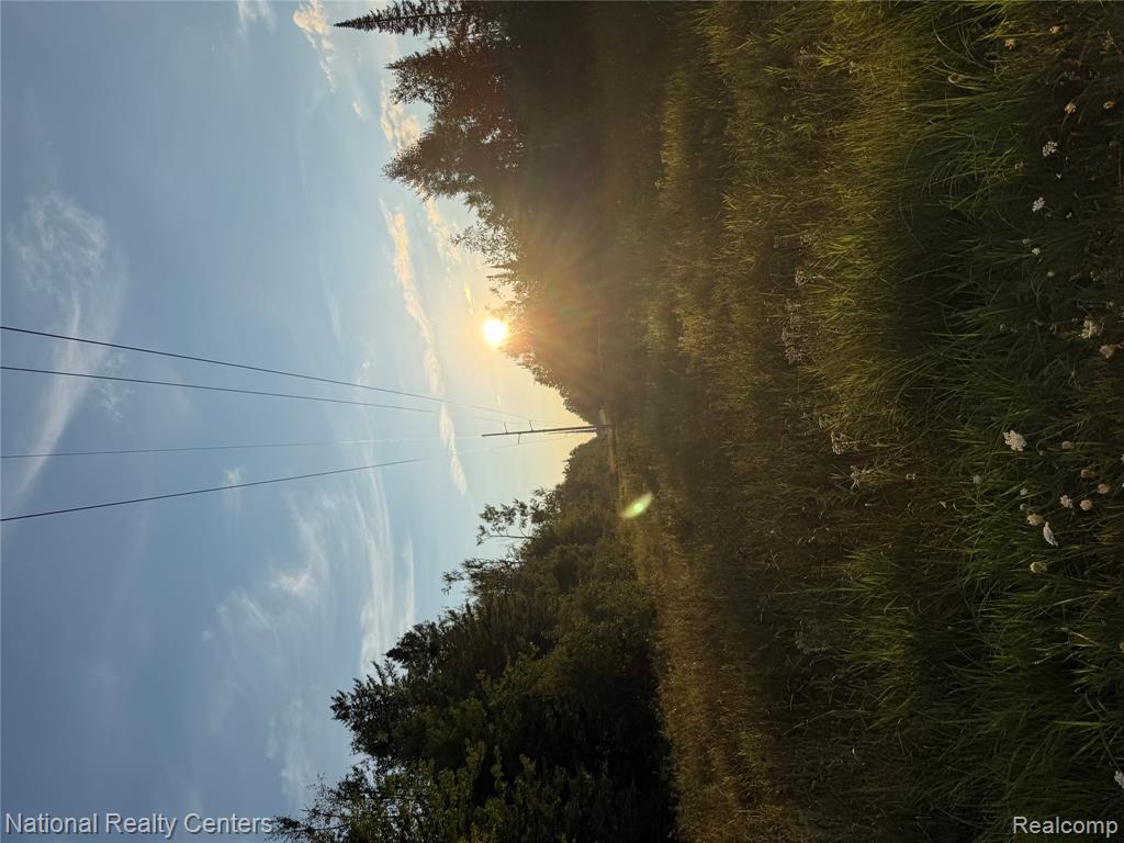 8018 Mielke Road Property Photo 18