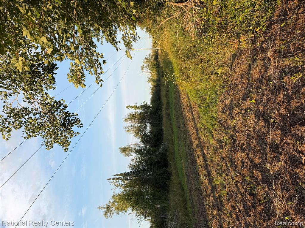 8018 Mielke Road Property Photo 22