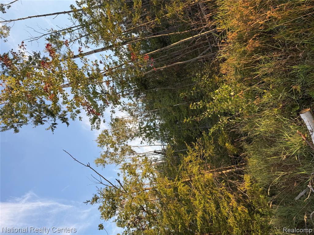 8018 Mielke Road Property Photo 25