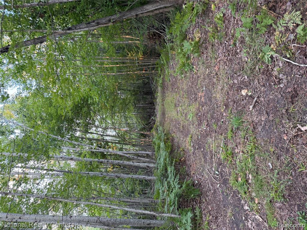 8018 Mielke Road Property Photo 27
