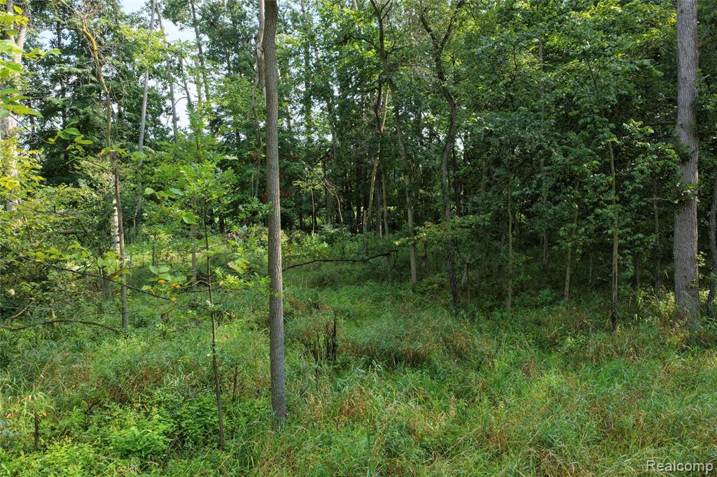 5891 N Allen Rd Allen Road Property Photo 9