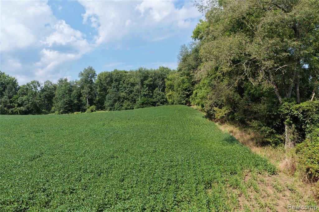 5891 N Allen Rd Allen Road Property Photo 12