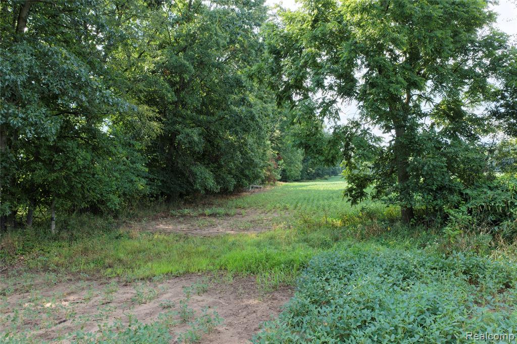 5891 N Allen Rd Allen Road Property Photo 13