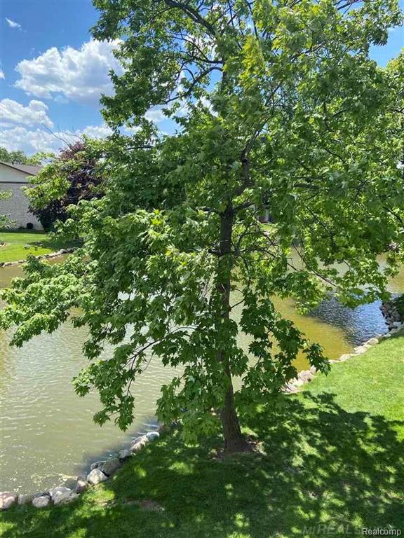 7485 Woodview Street Property Photo 22