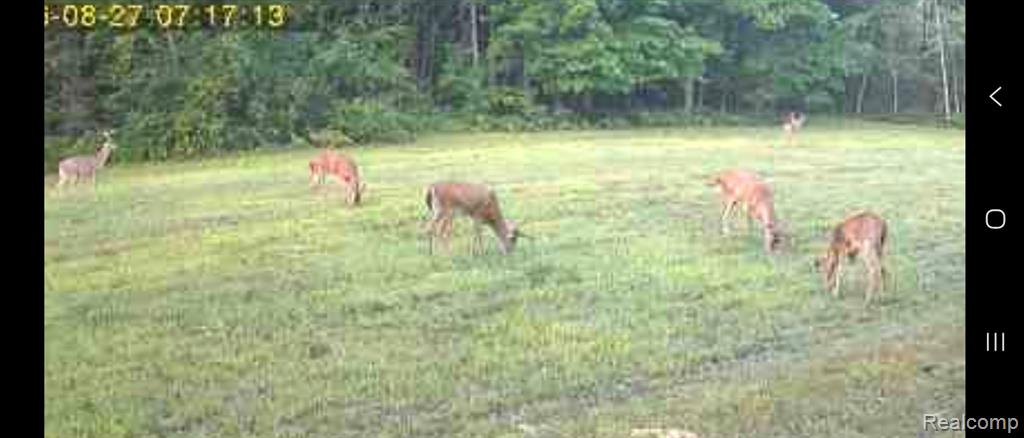 11365 Littlefield Road Property Photo 6