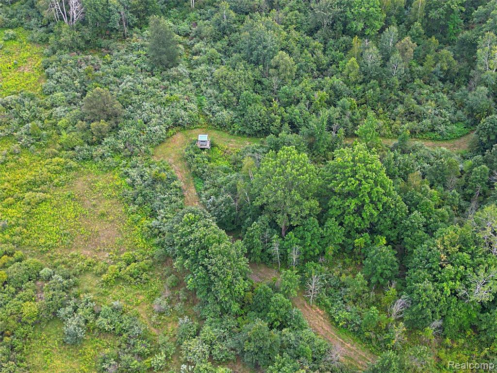 11365 Littlefield Road Property Photo 12