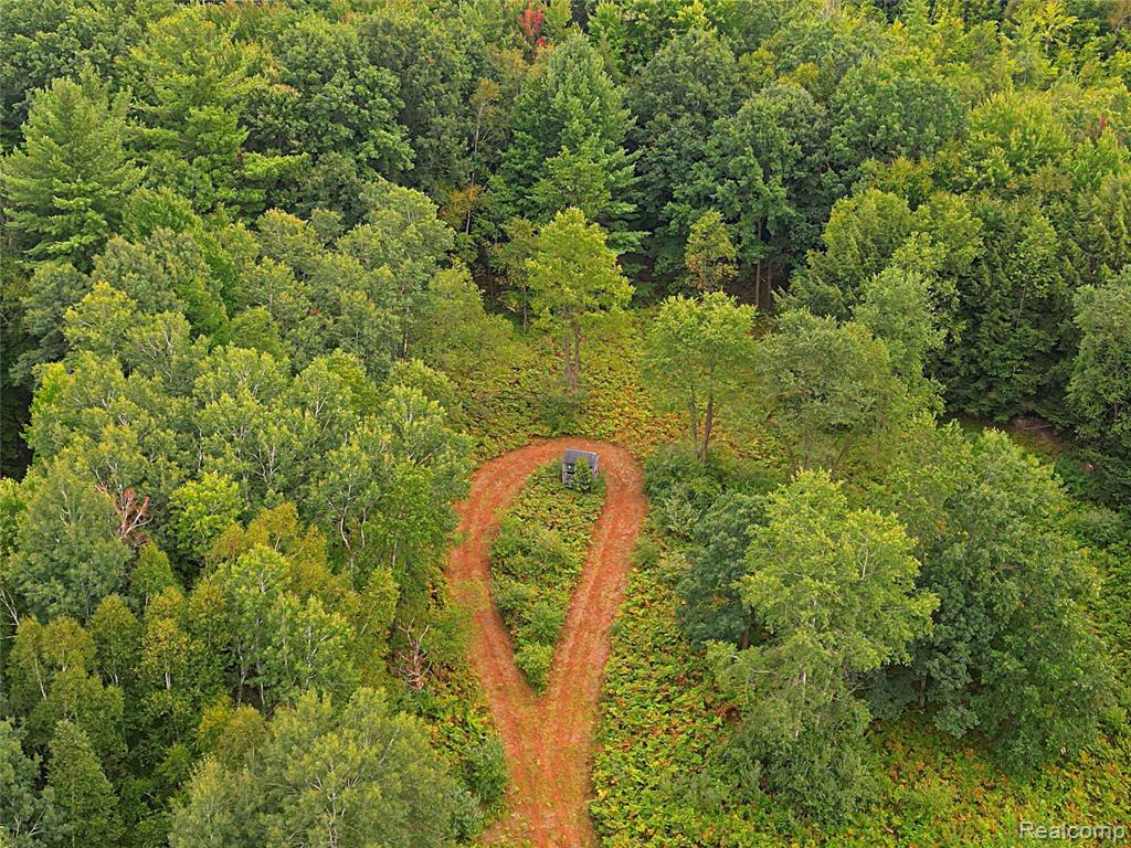 11365 Littlefield Road Property Photo 13