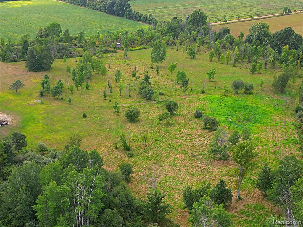 11365 Littlefield Road Property Photo 15