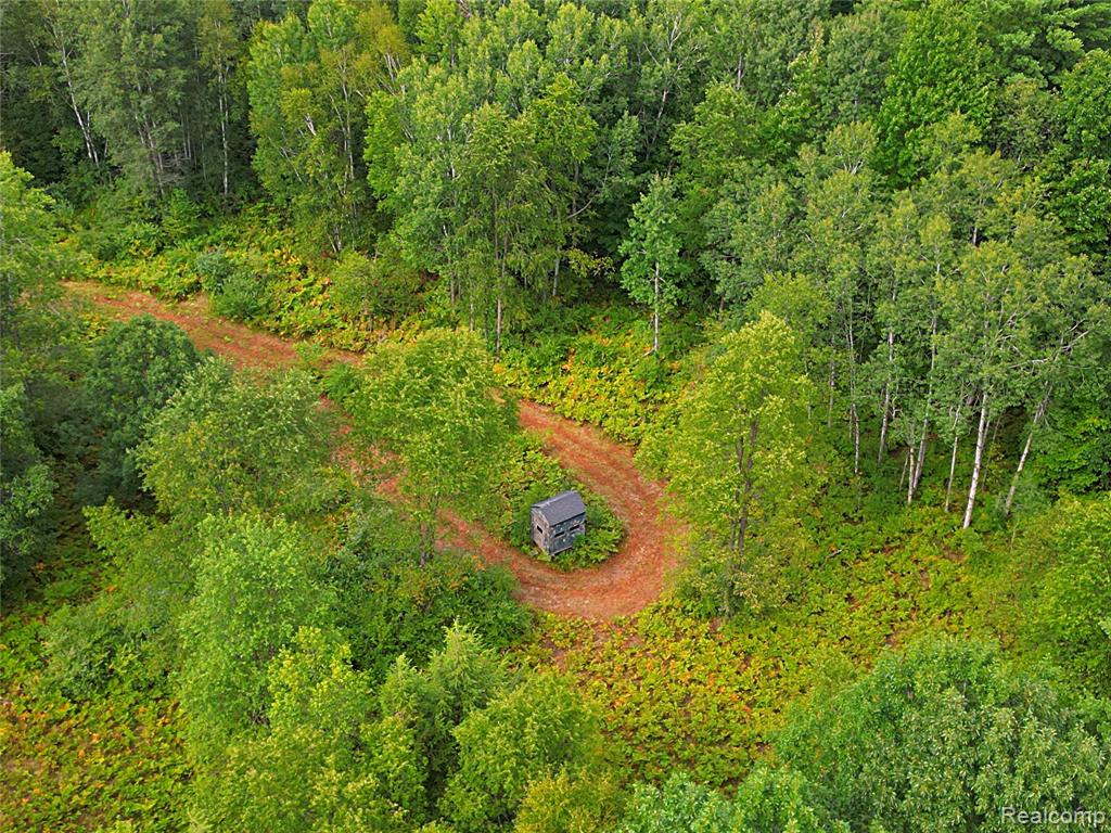 11365 Littlefield Road Property Photo 17