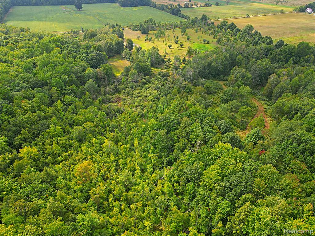 11365 Littlefield Road Property Photo 18