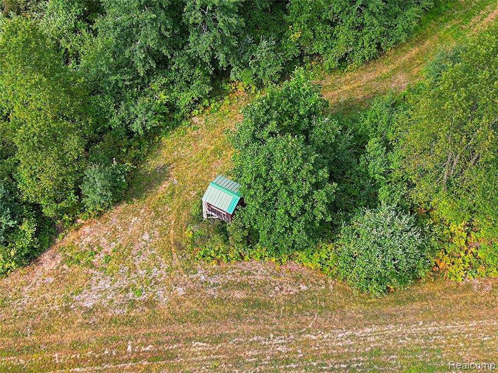 11365 Littlefield Road Property Photo 19