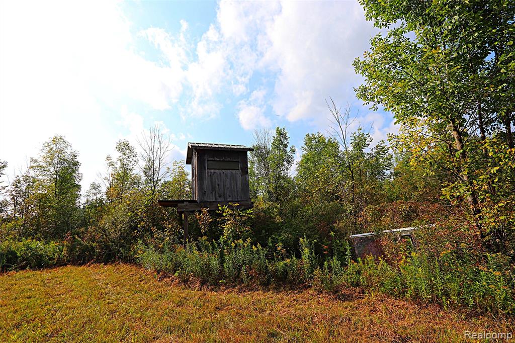 11365 Littlefield Road Property Photo 22