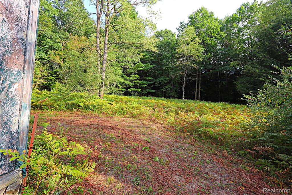 11365 Littlefield Road Property Photo 26