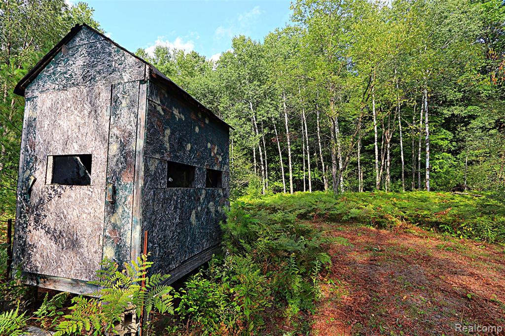 11365 Littlefield Road Property Photo 29