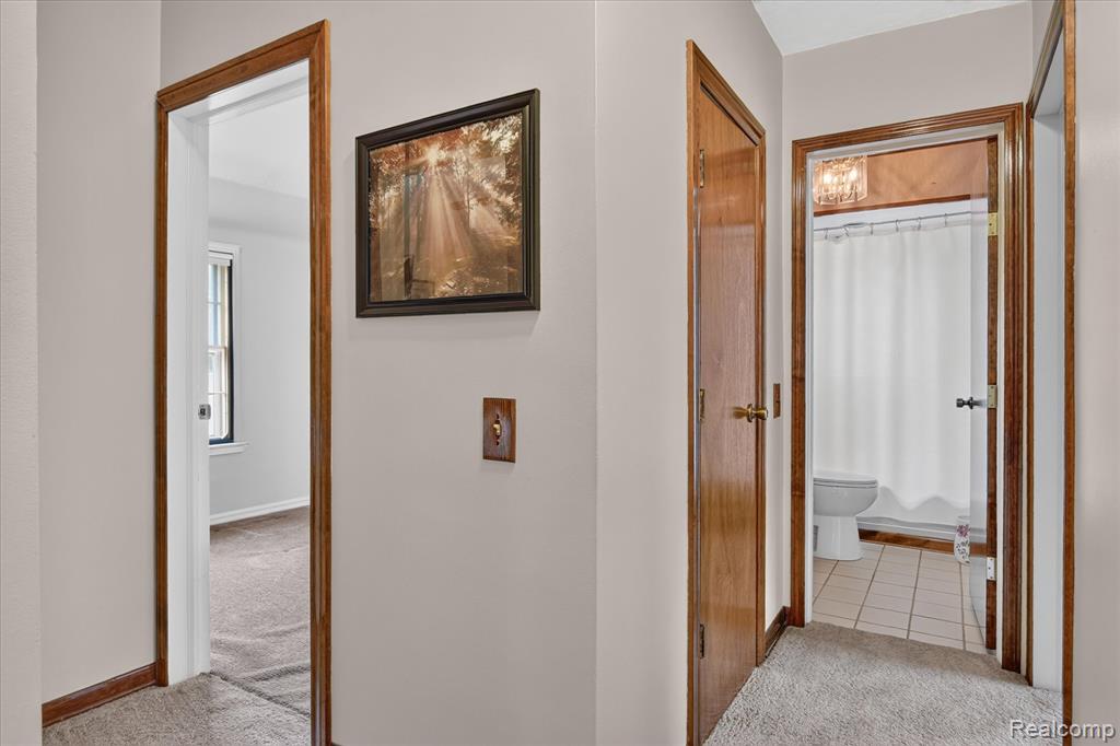 11175 Elmview Street Property Photo 18