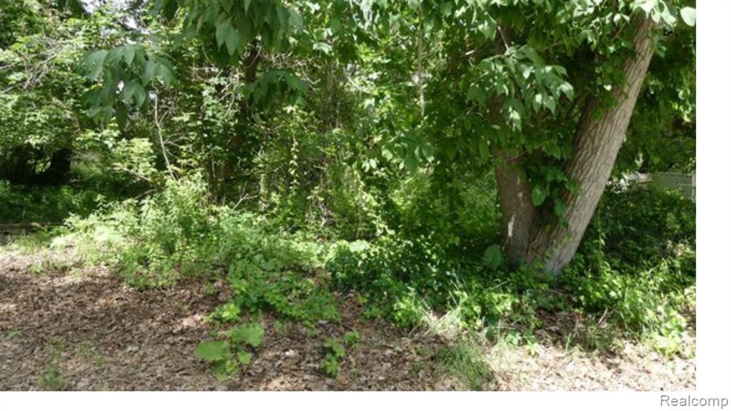 0000 Johnson Drive | Lot 4 Property Photo 1