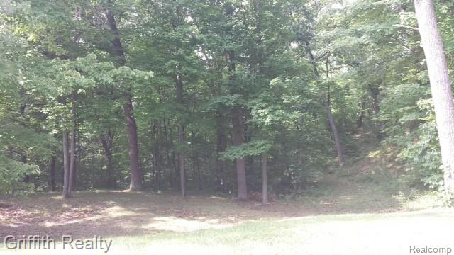 VL Schafer Road Property Photo 1