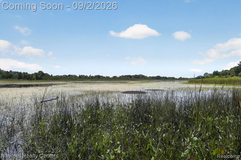 15771 Cavanaugh Lake Road Property Photo 55