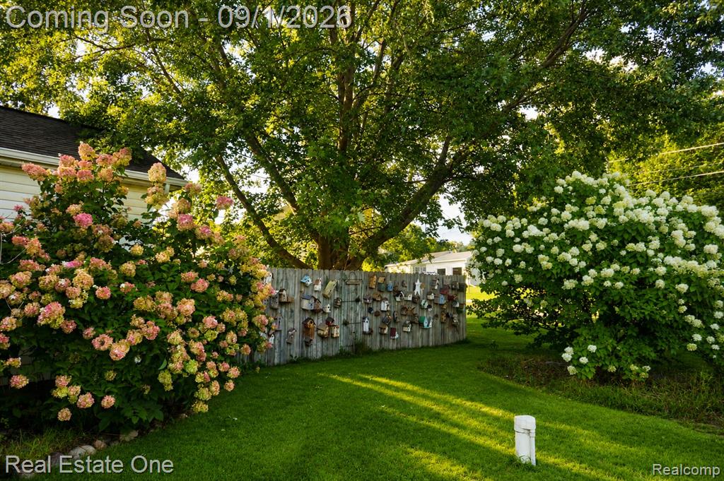 206 Broadway Property Photo 24