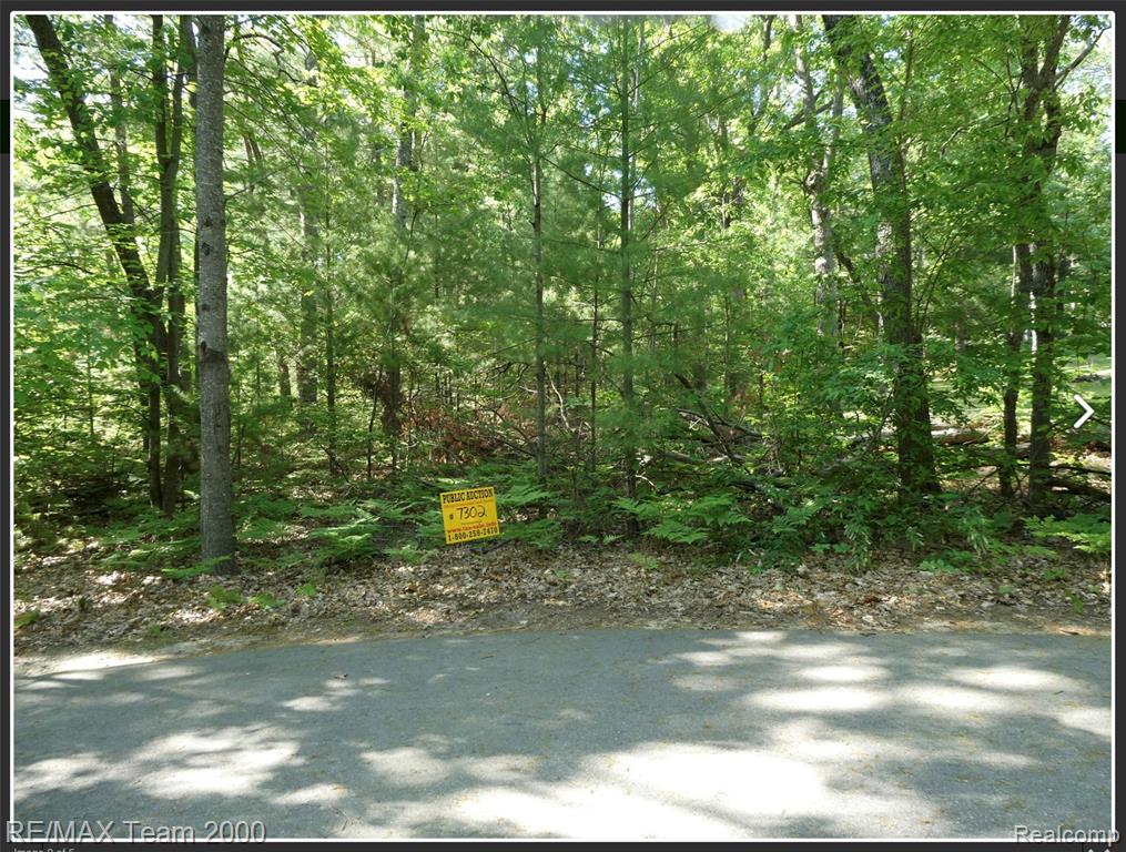 Bunny Run Vacan Bunny Run Property Photo 2
