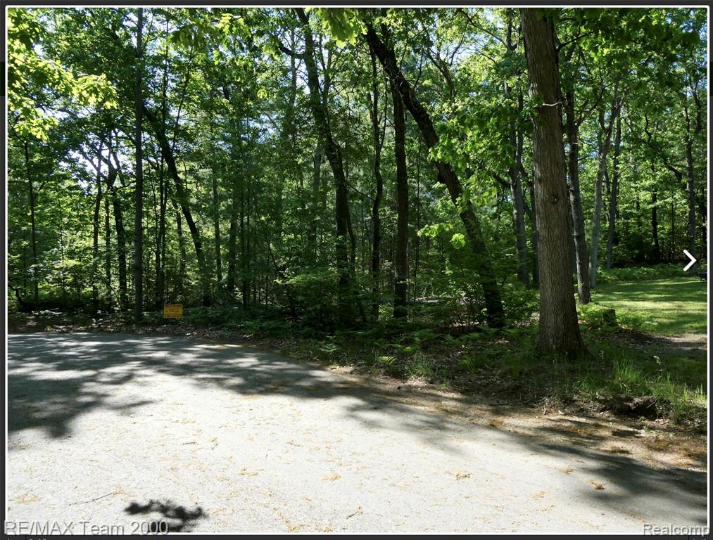 Bunny Run Vacan Bunny Run Property Photo 3