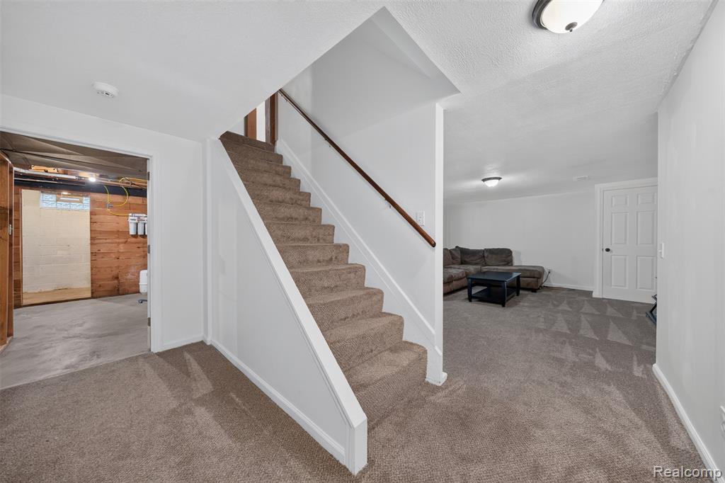 2499 Horseshoe Drive Property Photo 46