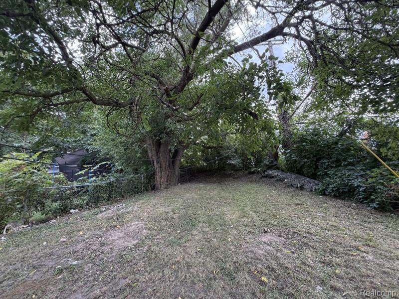 127 Jones Street Property Photo 5