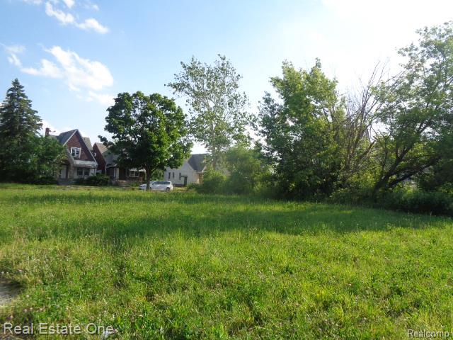 11624 Dwyer Street Property Photo 6