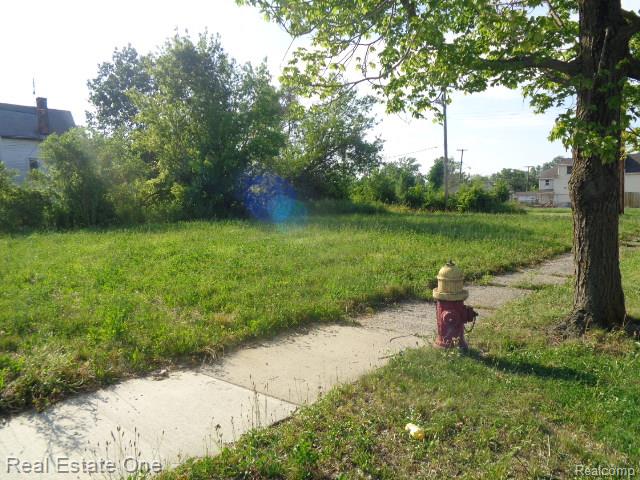11624 Dwyer Street Property Photo 8