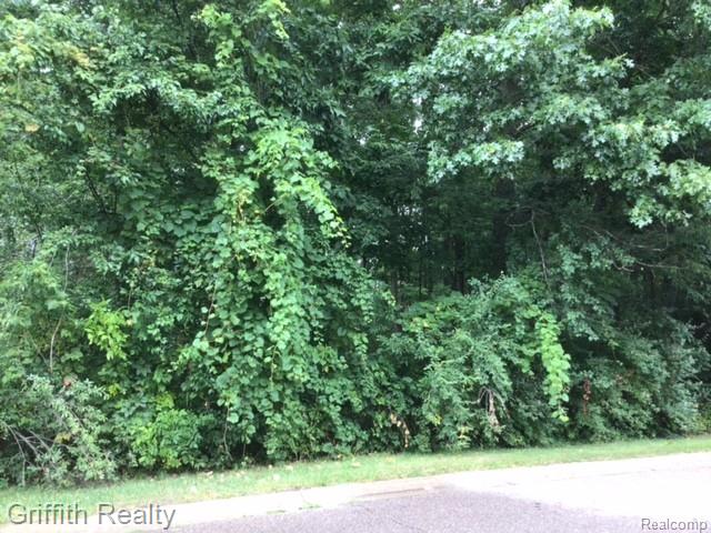 4473 Oak Pointe Drive Property Photo 1