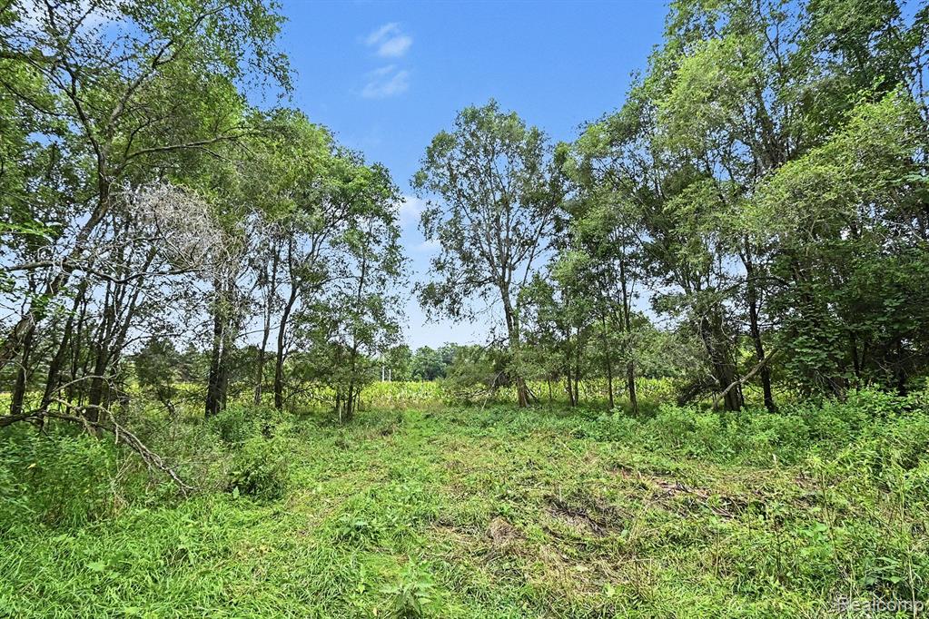 8145 Beardslee Road Property Photo 12