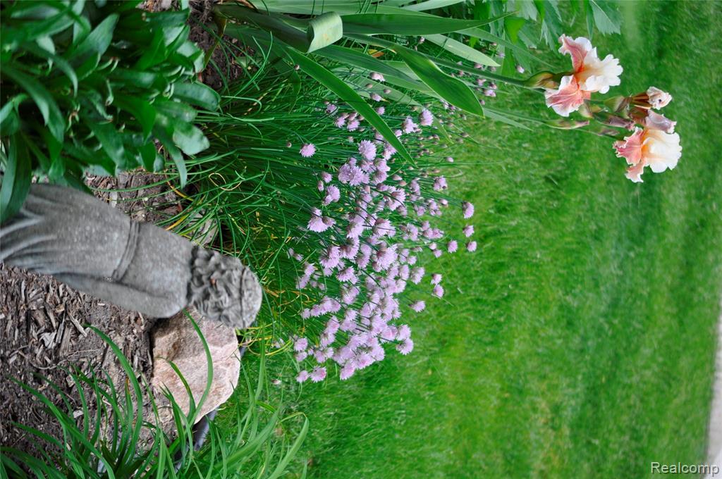 22076 Edgewater Property Photo 44
