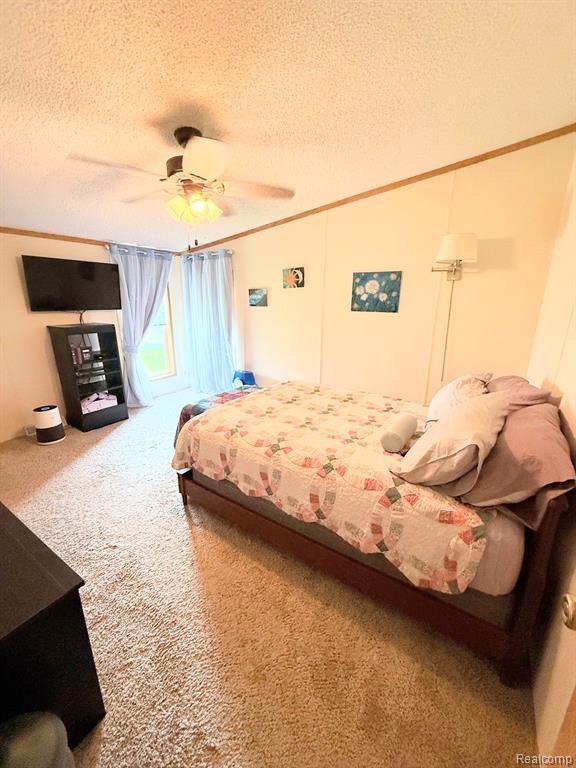 91 Hamilton Street Property Photo 7