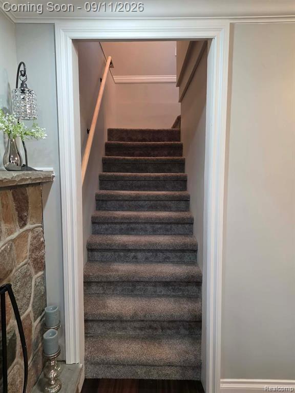 503 Horner Drive Property Photo 25